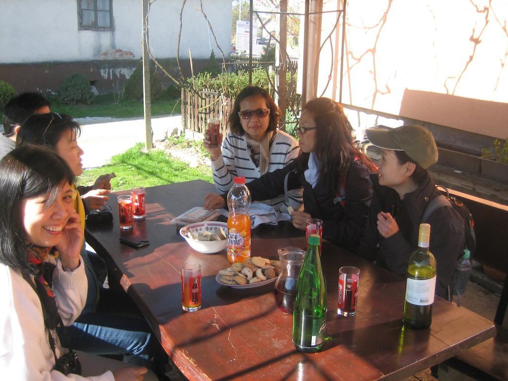 Tourist Farm Salamun Βίλα Banovci Εξωτερικό φωτογραφία