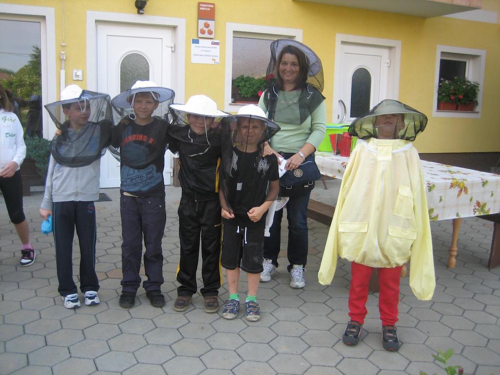 Tourist Farm Salamun Βίλα Banovci Εξωτερικό φωτογραφία