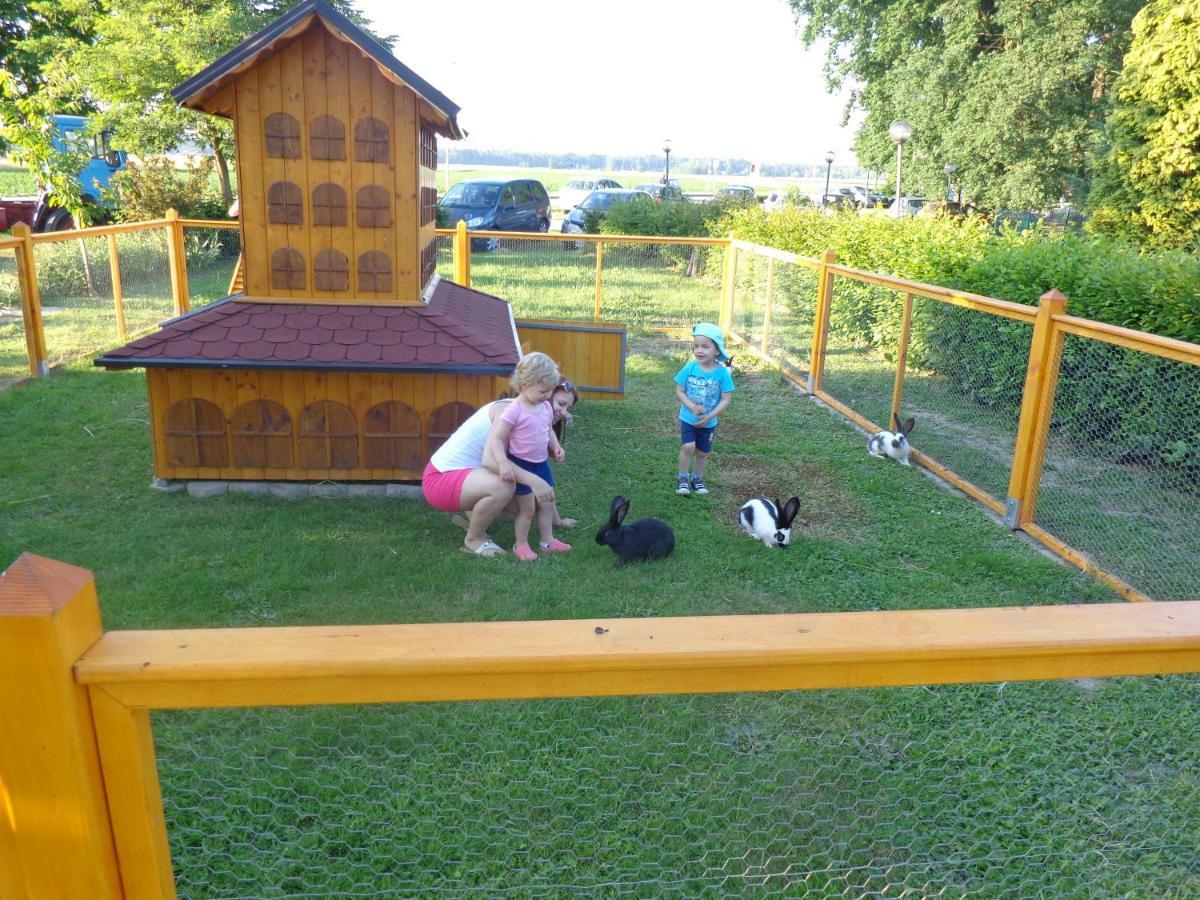 Tourist Farm Salamun Βίλα Banovci Εξωτερικό φωτογραφία